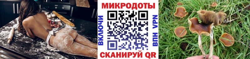 наркошоп  Гдов  Псилоцибиновые грибы мицелий 